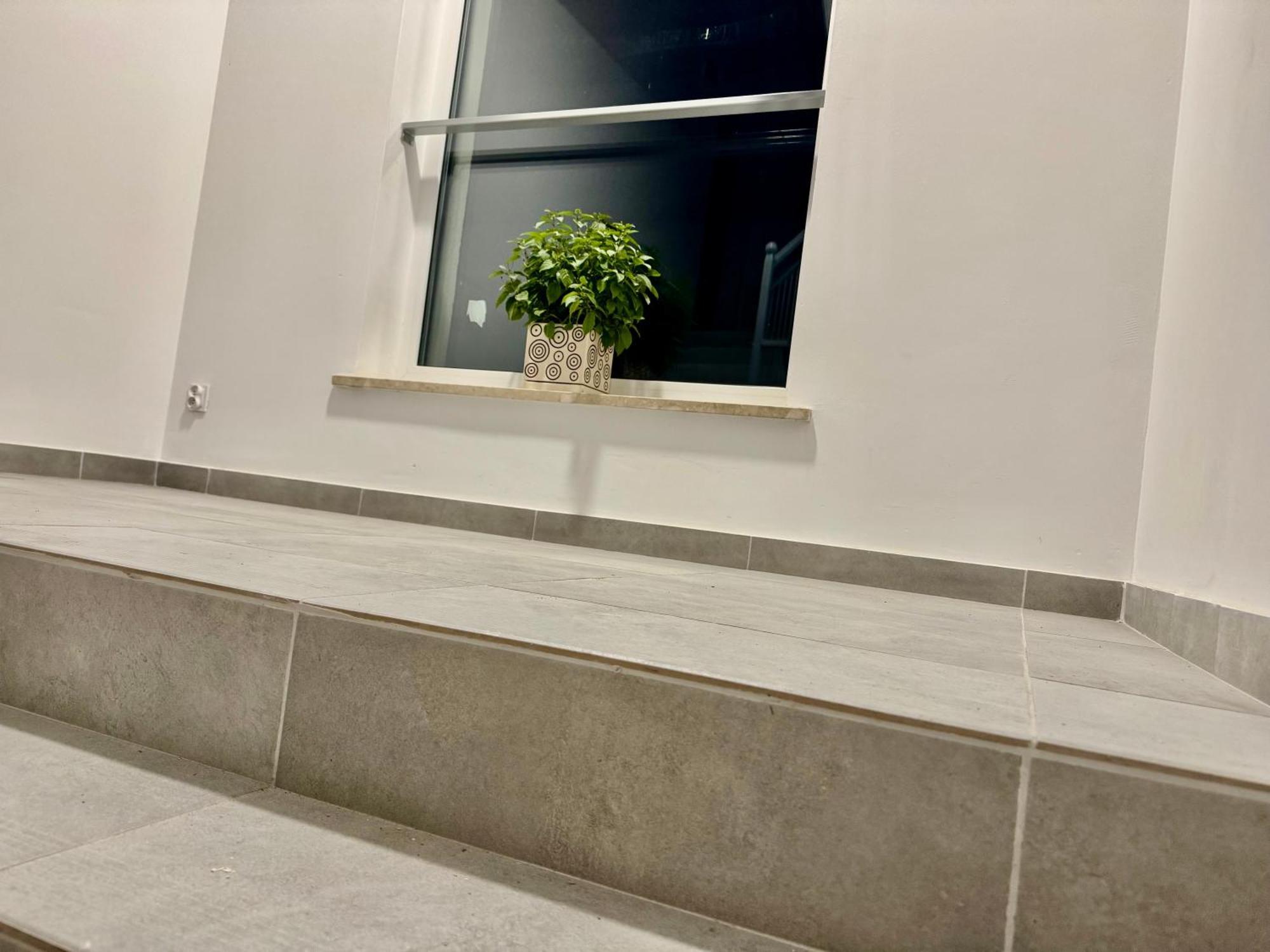 Apartament Olenka ブスコ・ズドロイ エクステリア 写真